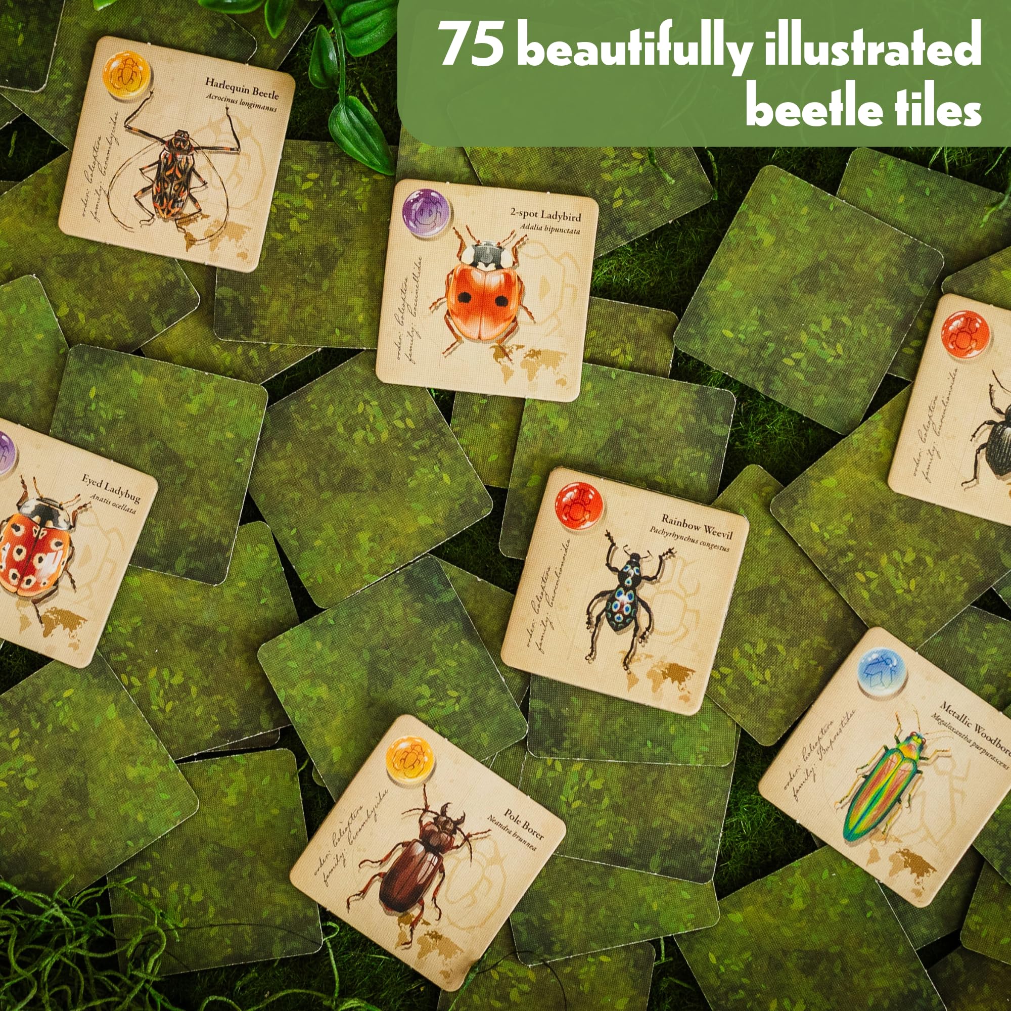 Jewel Box tiles laid out to illustrate strategic placement options.