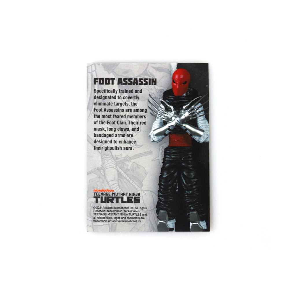 Loyal Subjects BST AXN packaging art emphasizes premium collector presentation.