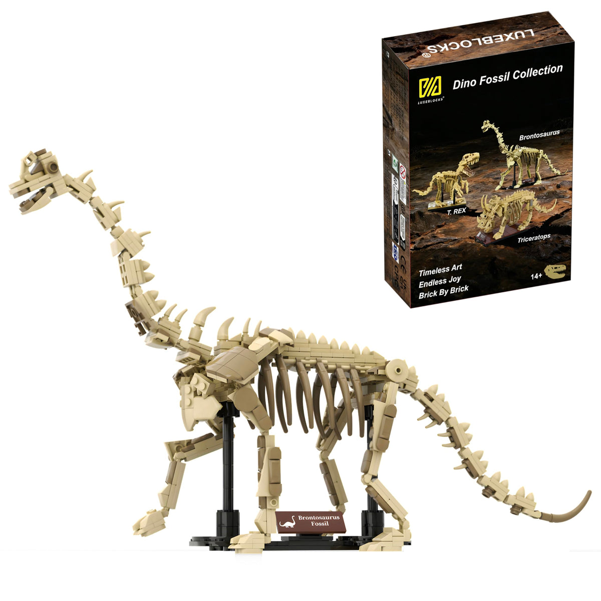 LUXEBLOCKS Brontosaurus skeleton, 19-inch display for home and classroom setup.
