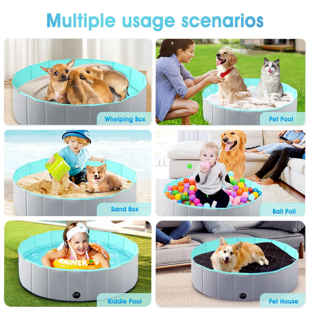 LuxPool versatile pool serves as dog bath, kiddie pool, or splash area