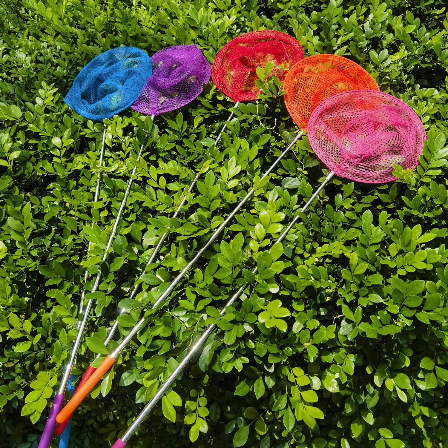 M-jump extendable kids net ideal for butterfly, small fish, or ladybird adventures.