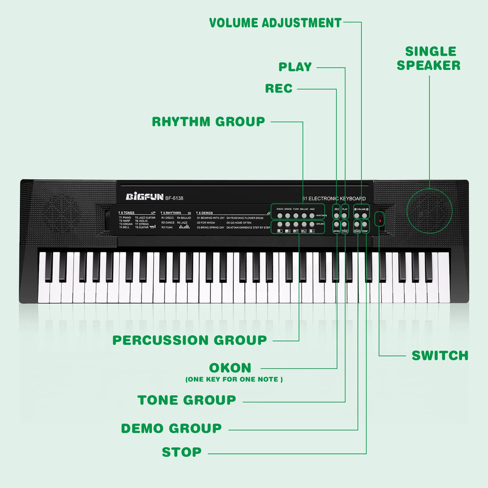 M SANMERSEN microphone attachment enables simple singing during play.