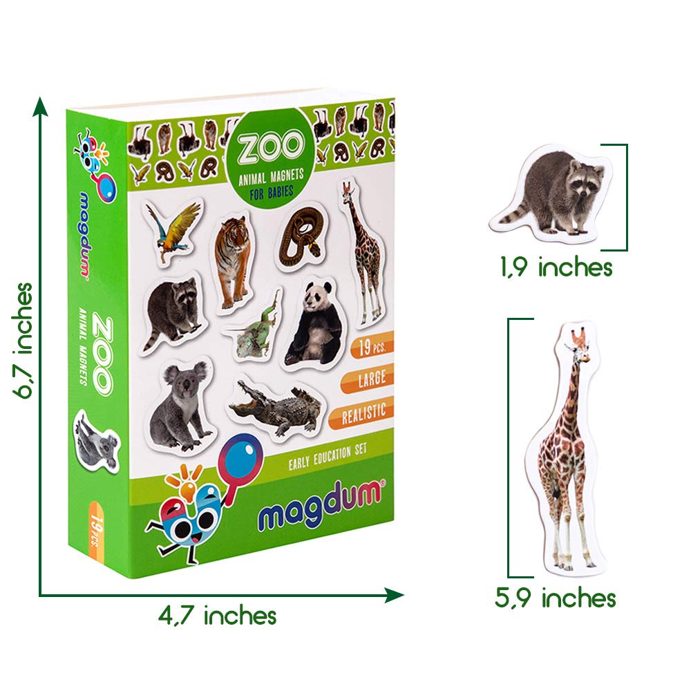 MAGDUM flamingo magnet adds bright color and balance-themed play on metal surfaces.