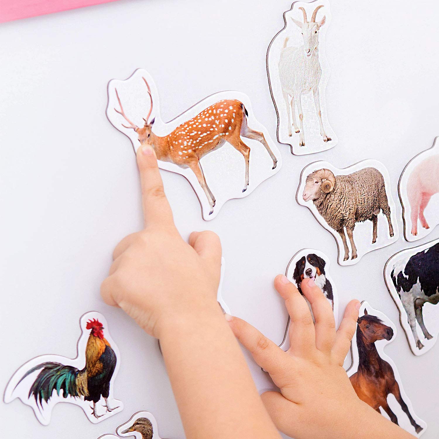 Magdum rabbit fridge magnet invites problem solving through play