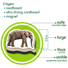 MAGDUM koala magnet pairs with stories about tree-dwellers and cozy nooks.