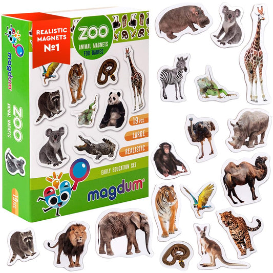 MAGDUM lion magnet on the fridge for early animal recognition and imaginative play.