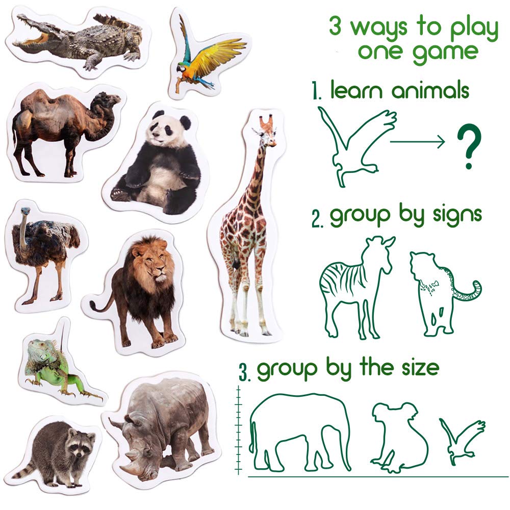 MAGDUM monkey magnet sparks curiosity and sequence games for kids.