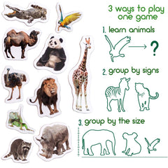 MAGDUM monkey magnet sparks curiosity and sequence games for kids.