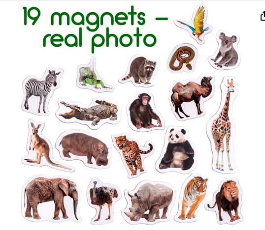 MAGDUM zebra magnet promotes color recognition and pattern matching during play.