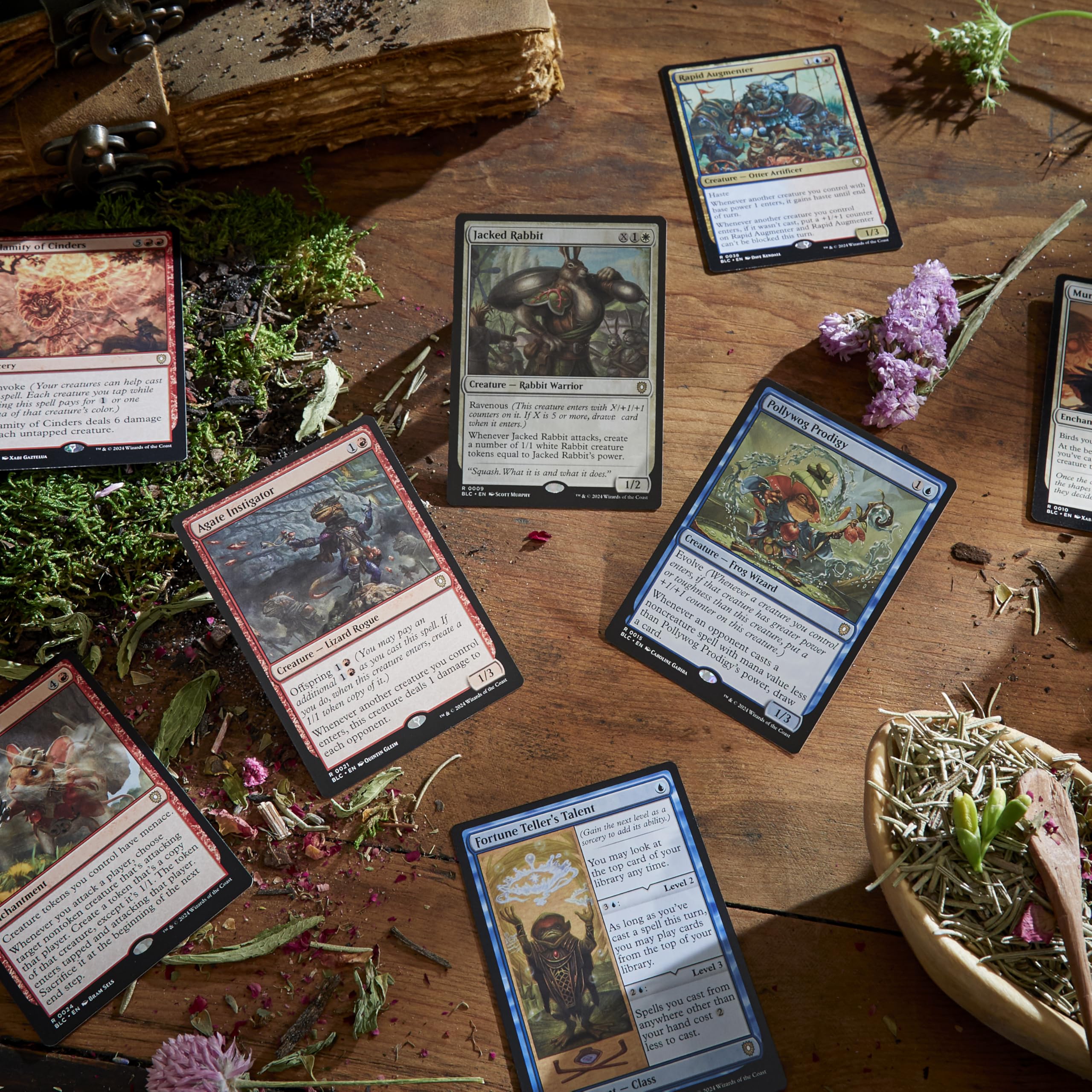 Magic: The Gathering Bloomburrow strategy insert for deck planning.