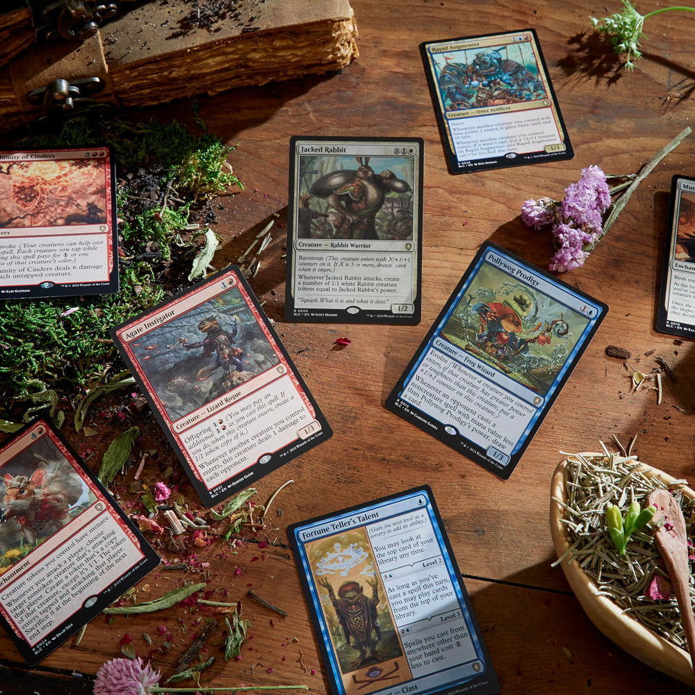 Magic: The Gathering Bloomburrow strategy insert for deck planning.
