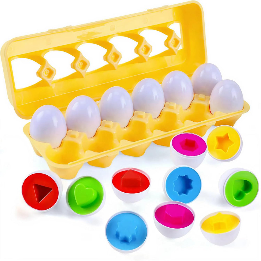 MAGIFIRE Toy Eggs color match helps toddlers recognize colors during sorting play
