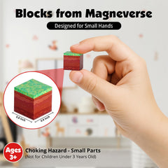 Magneverse family gift idea for Easter or birthdays