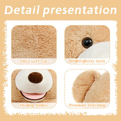 MaoGoLan teddy bear pillow companion for reading or movie nights.