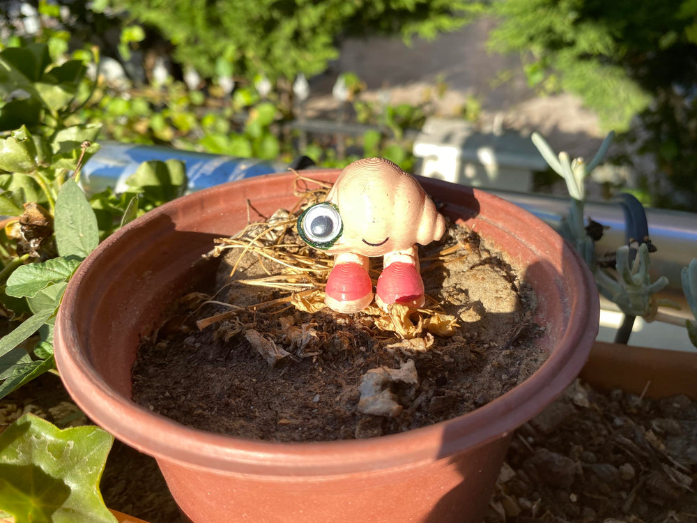 Marcel the Shell with Shoes On life-size figure suitable for collection on a shelf