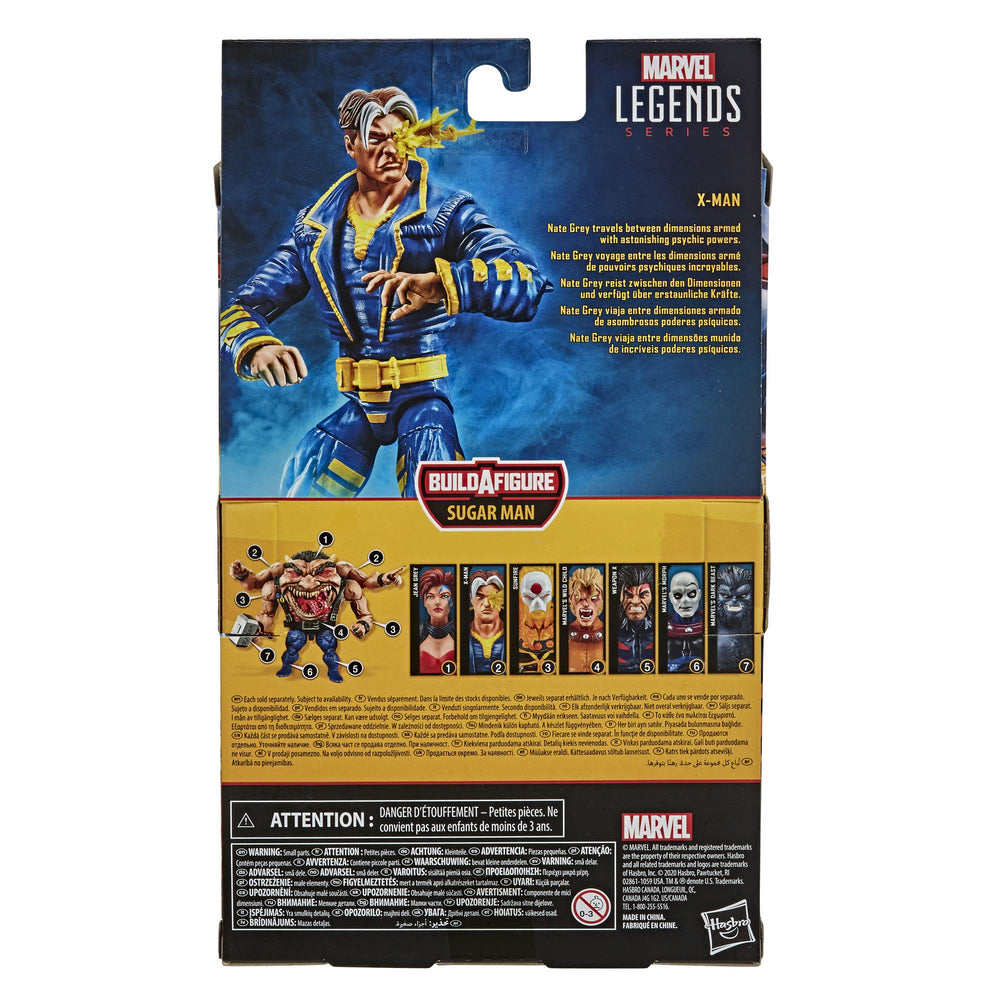 Marvel Hasbro Legends Age of Apocalypse collection build-a-figure part ready for collection.