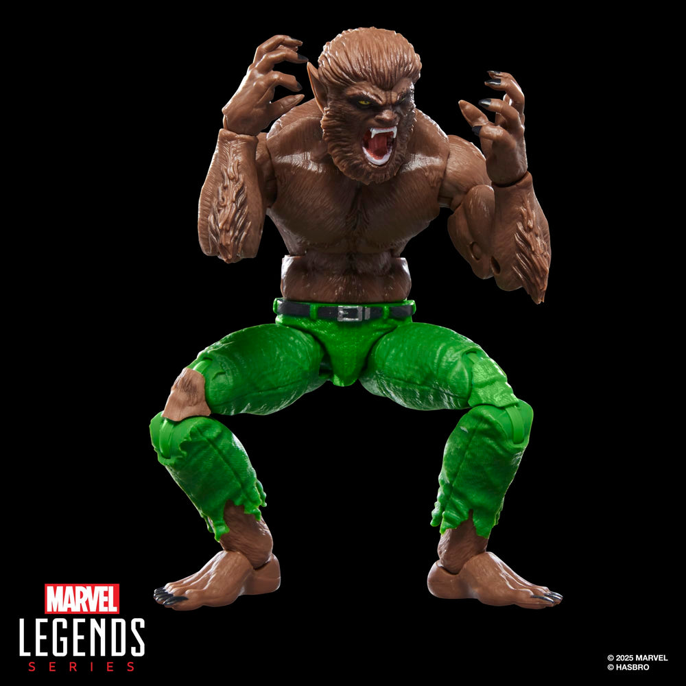 Marvel Legends Werewolf by Night display-ready collectible for Marvel fans.