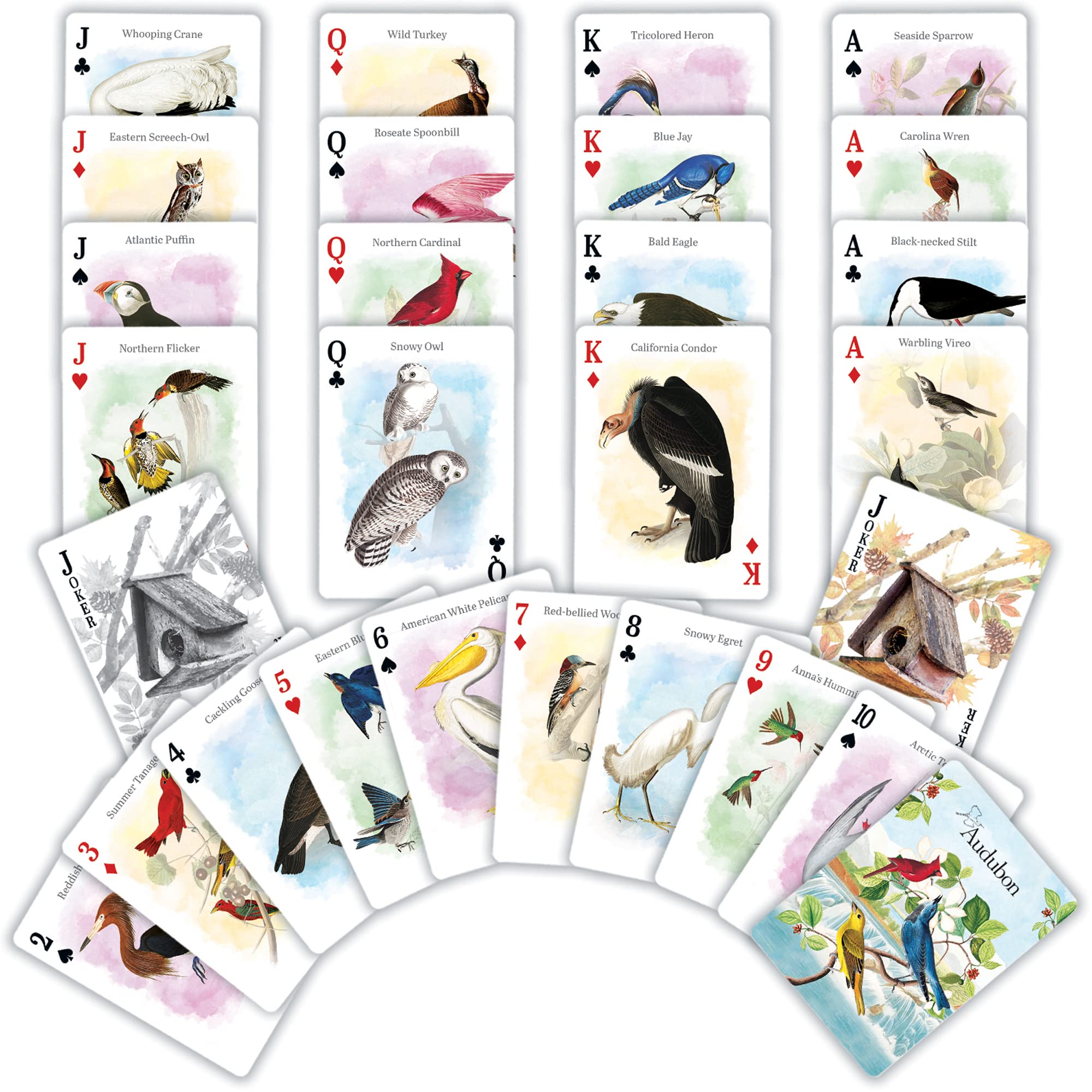 MasterPieces Audubon face cards feature unique designs for standout gameplay.