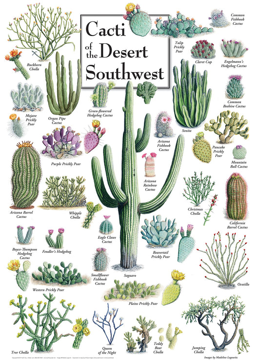 MasterPieces cacti desert southwest puzzle pieces close-up ready for interlocking fun.