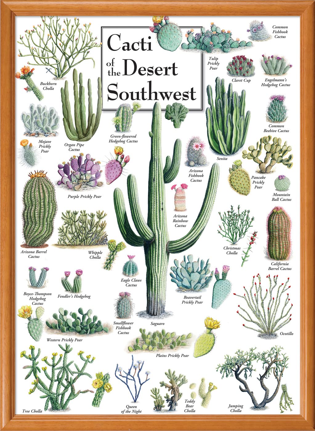 MasterPieces eco-friendly materials ensure sustainable puzzling for desert artwork fans.