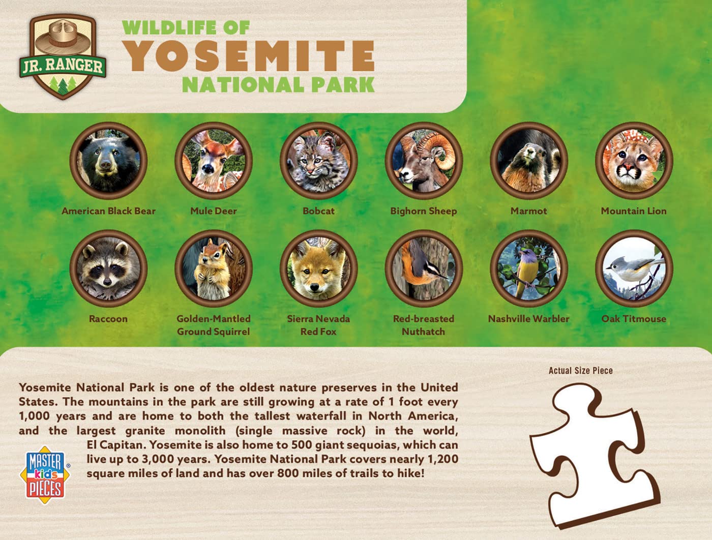 MasterPieces educational toy collection adds variety beyond puzzles