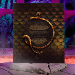Masters of the Universe Lady Slither snake tail in unboxing and display setup