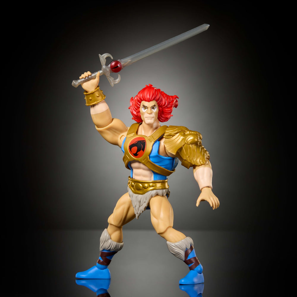 Masters of the Universe Lion-O dual hair looks for different display styles.