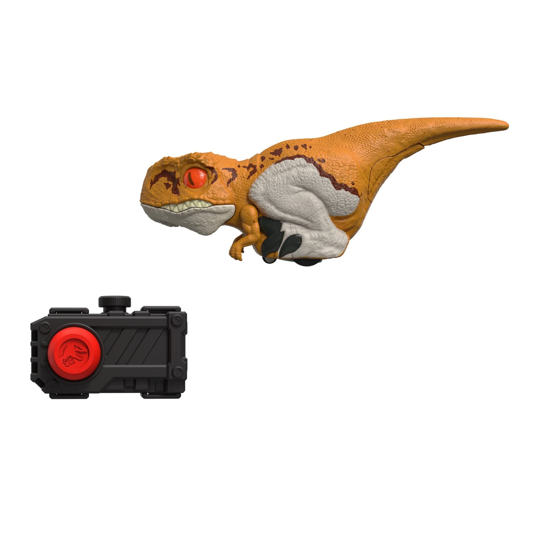 Mattel Jurassic World Atrociraptor moves with clicker control for interactive play.