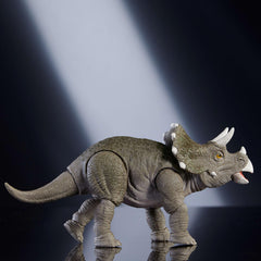 Mattel Jurassic World Hammond Collection juvenile Triceratops with deluxe packaging for display-ready presentation