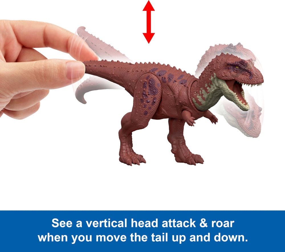 Mattel Jurassic World Aucasaurus at 12.8 inches makes a bold display piece
