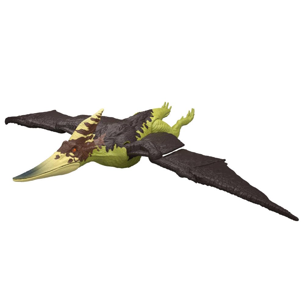 Mattel Jurassic World Wild Roar Pteranodon shows a safe, dramatic wingspan pose for display
