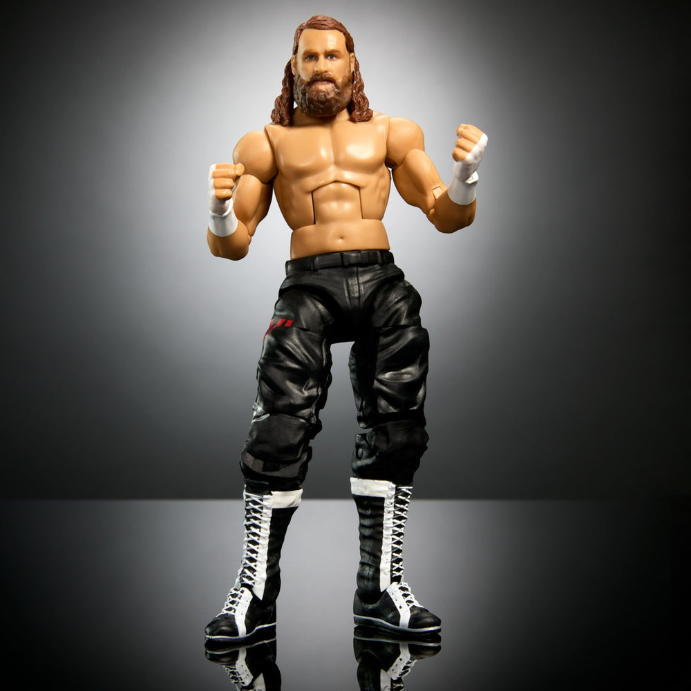 Mattel Sami Zayn Elite accessories pack includes signature items for display.