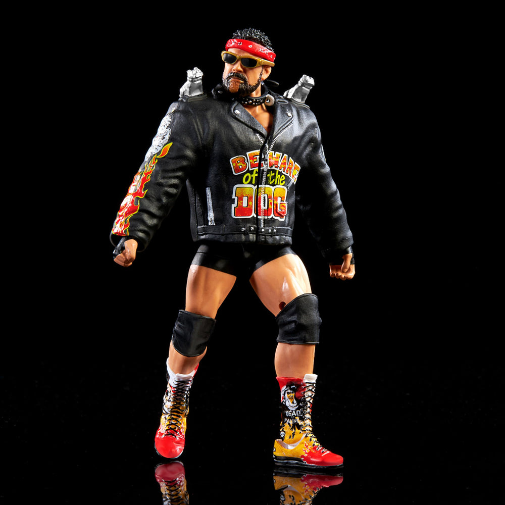 Includes accessories and packaging for collectors and display.