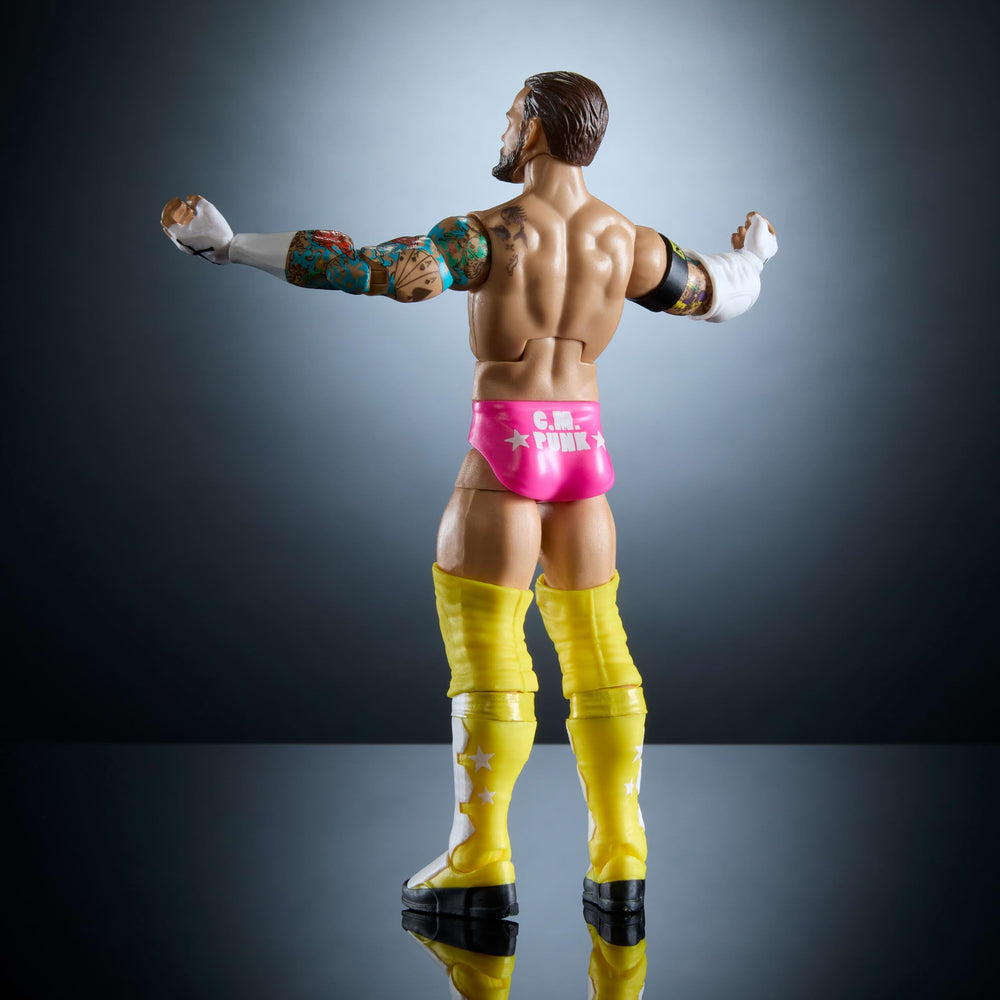 Mattel WWE Elite CM Punk packaging and stand for organized display.