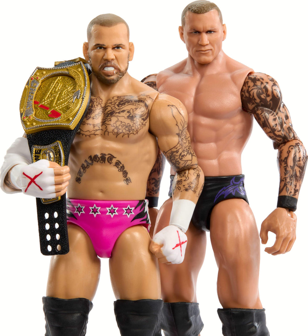 Mattel WWE CM Punk vs Randy Orton 2-Pack offers 6-inch articulated figures for dynamic poses