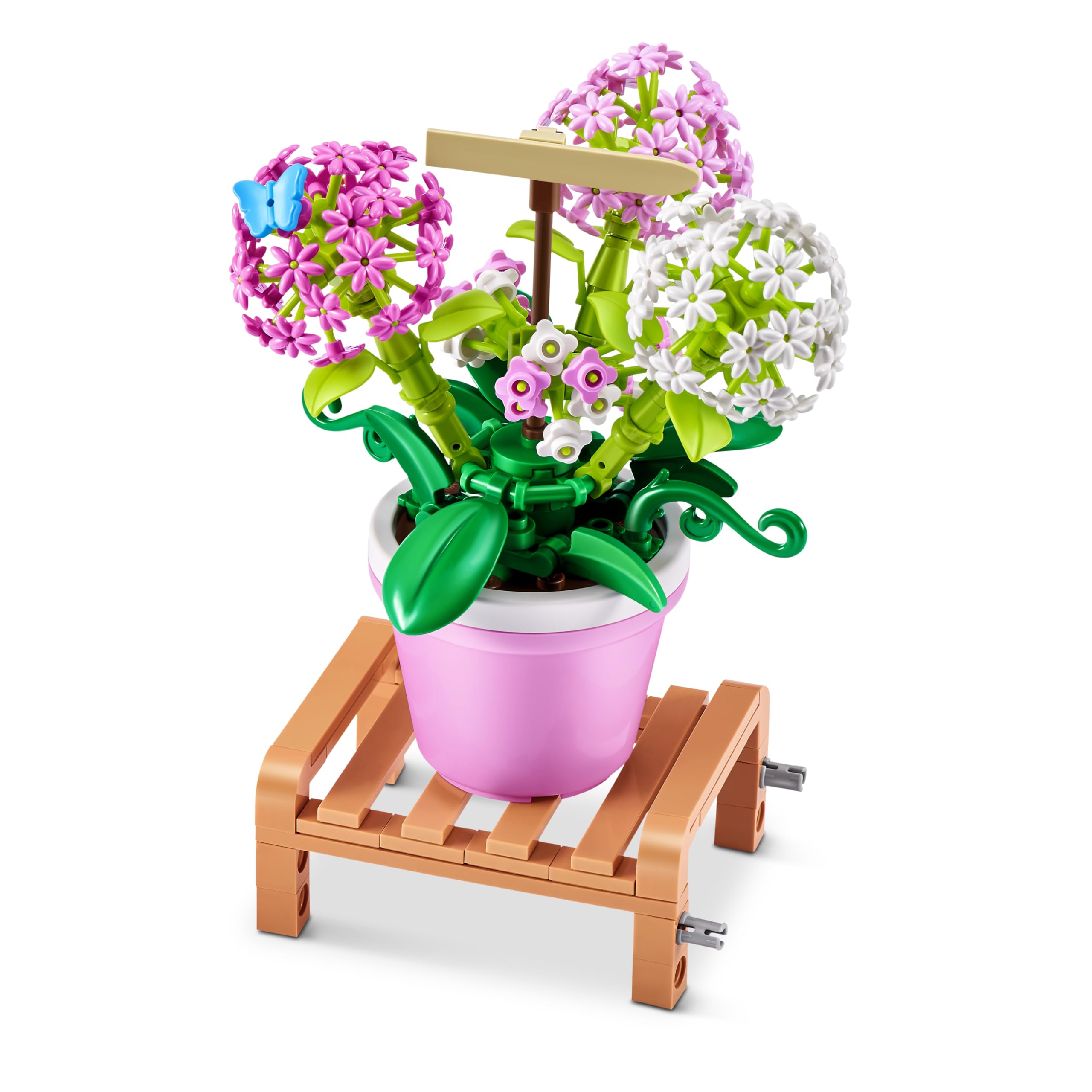 Max Build More Campanula capsule design for charming garden decor