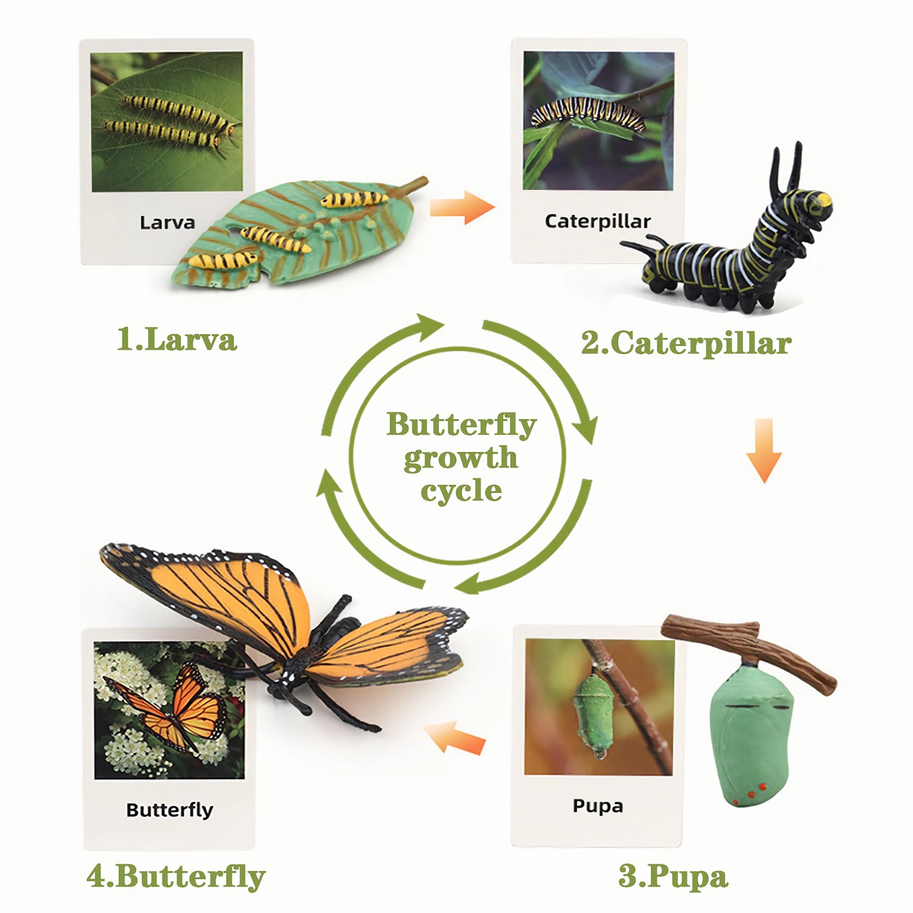 Mbrain flash cards reinforce concepts with clear visuals and quick matching practice