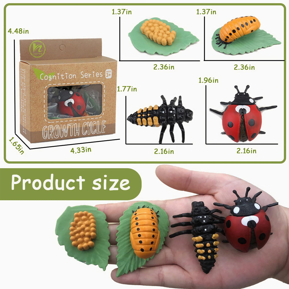 Mbrain frog figurines support hands-on metamorphosis exploration through play