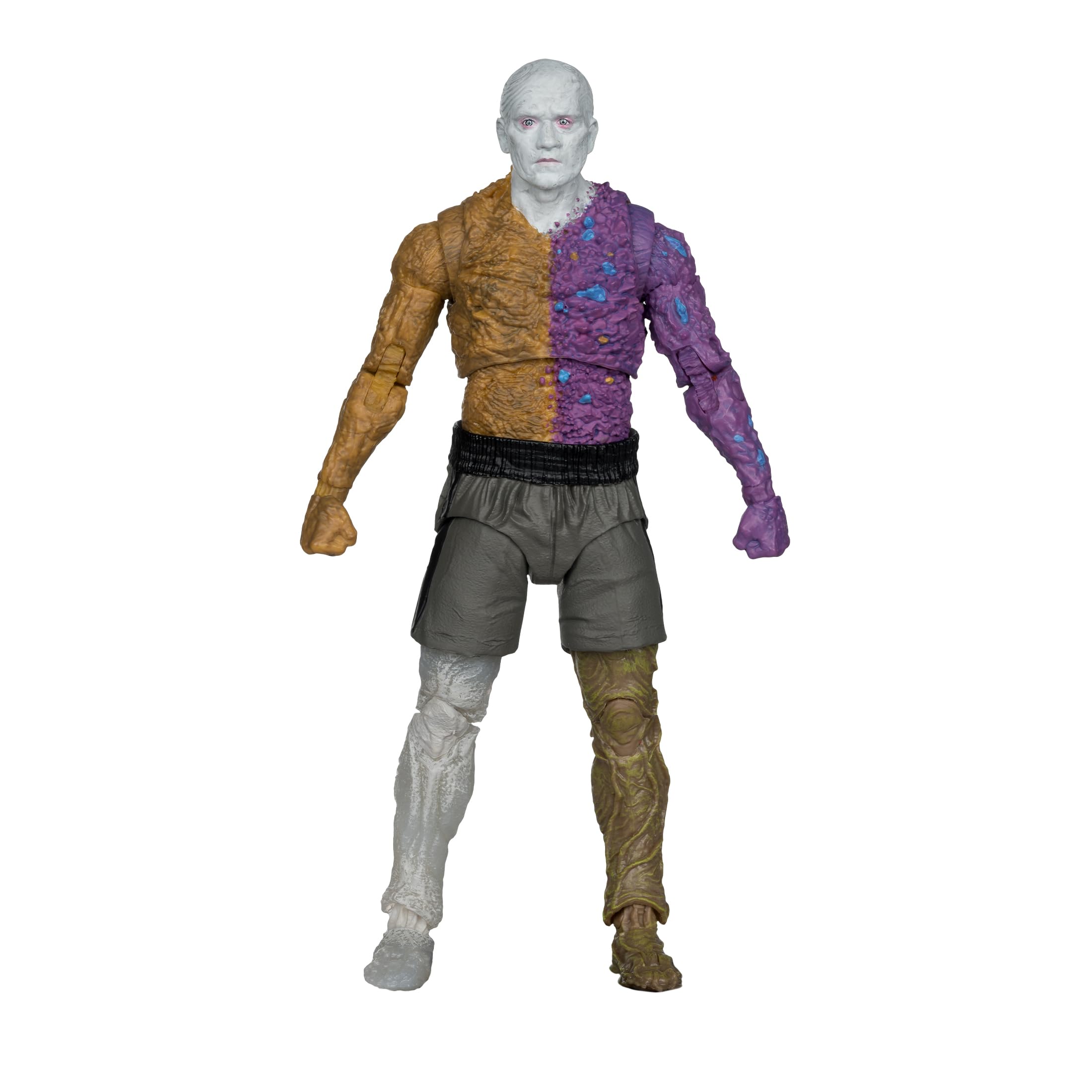 Base included for stable display of Metamorpho figure