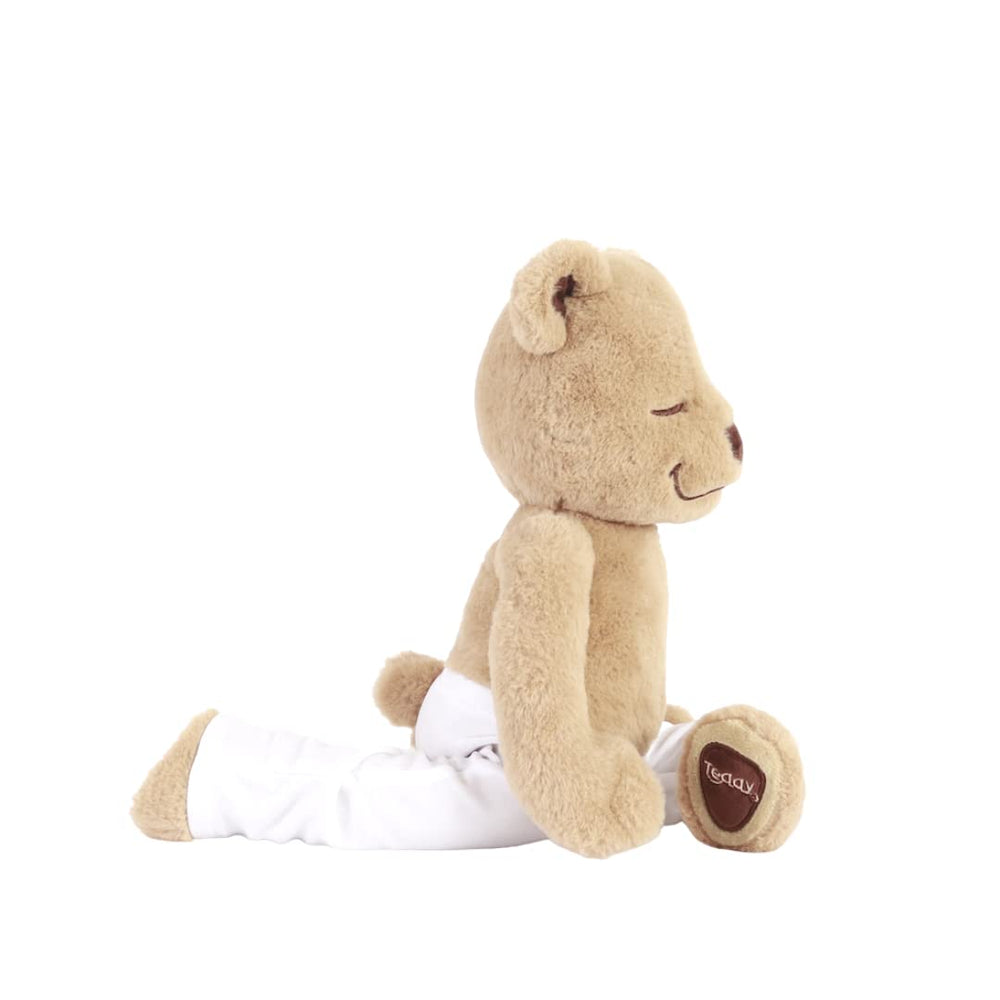 Meddy Teddy The Yoga Bear bendable arms shown, ideal for kid-friendly yoga poses.