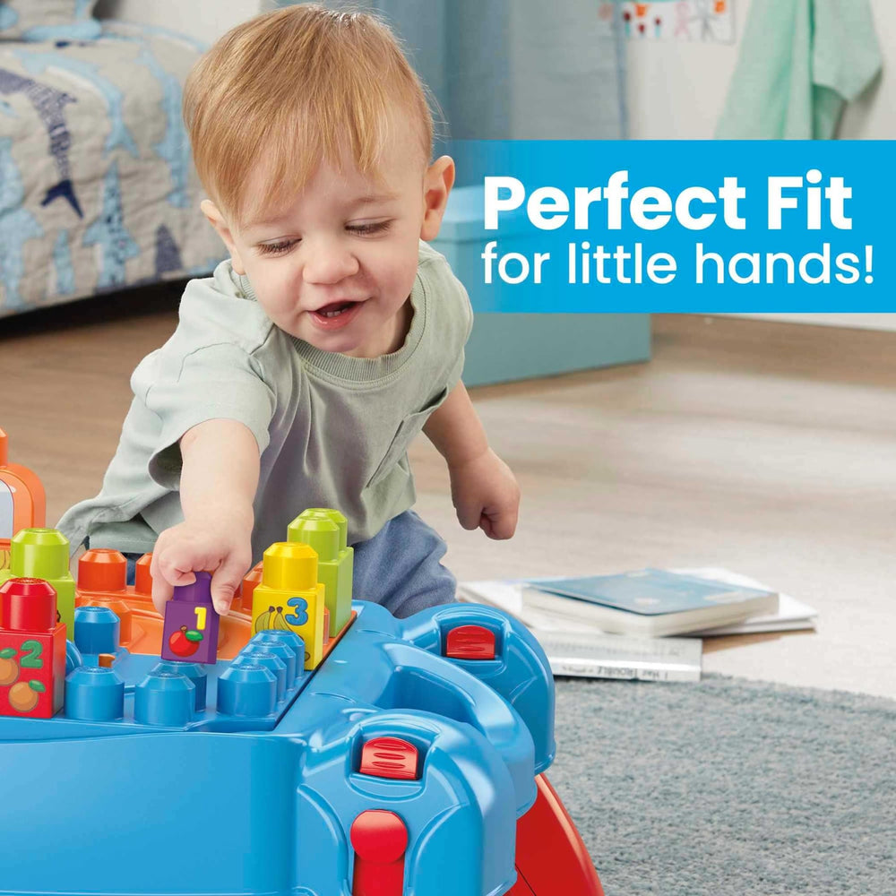 Mega Bloks First Builders market blocks inspire color recognition during town play.