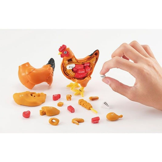 Megahouse Kaitai Chicken Puzzle pieces spread neatly for tactile, engaging play.