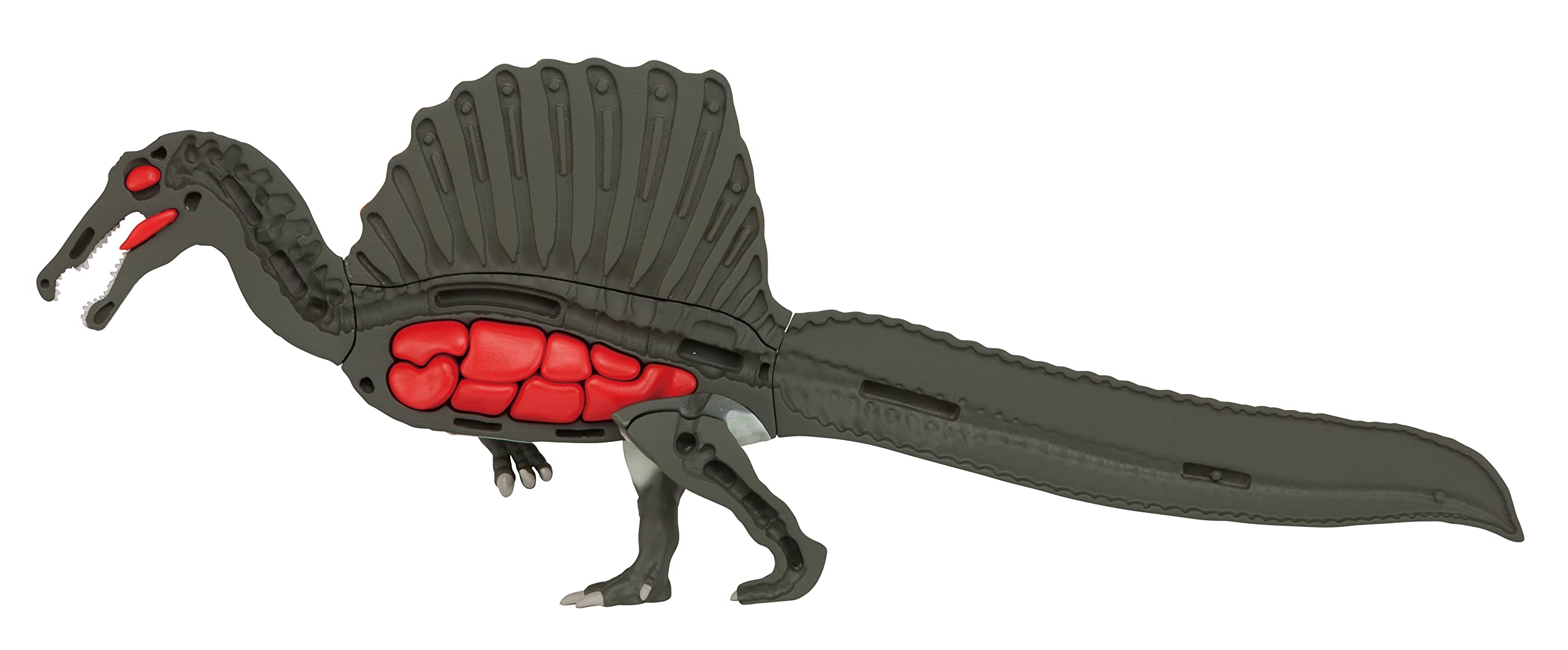 Megahouse Spinosaurus safety label indicates compliant North American standards.