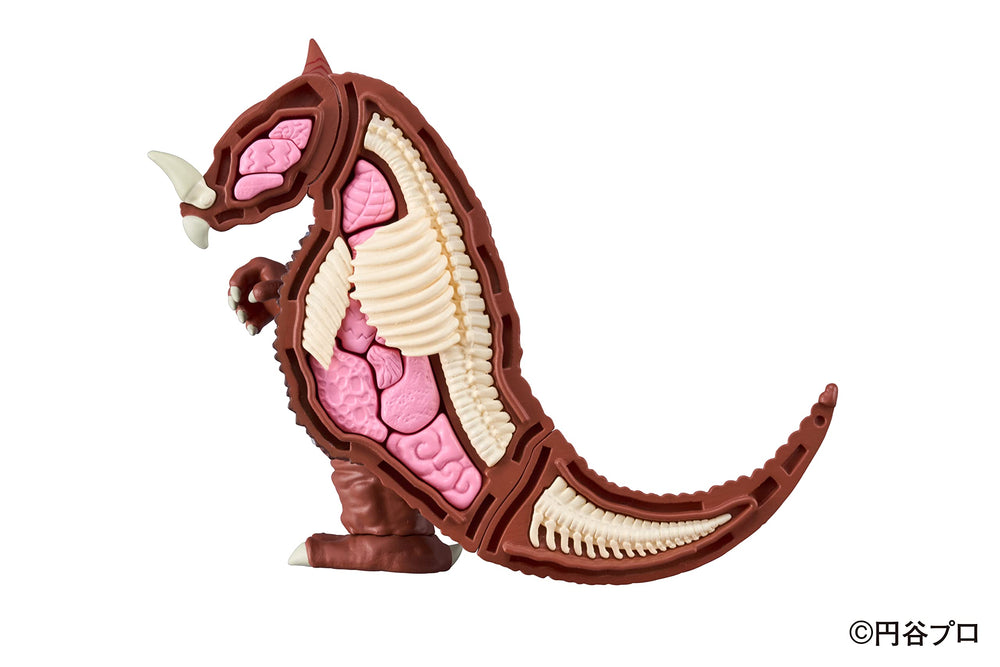 Megahouse Ultraman Gomora Kaitai Puzzle safe-certified-label signals safety standards.
