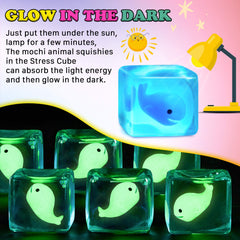 Safe, BPA-free materials make Meijoy cube suitable for everyday use.