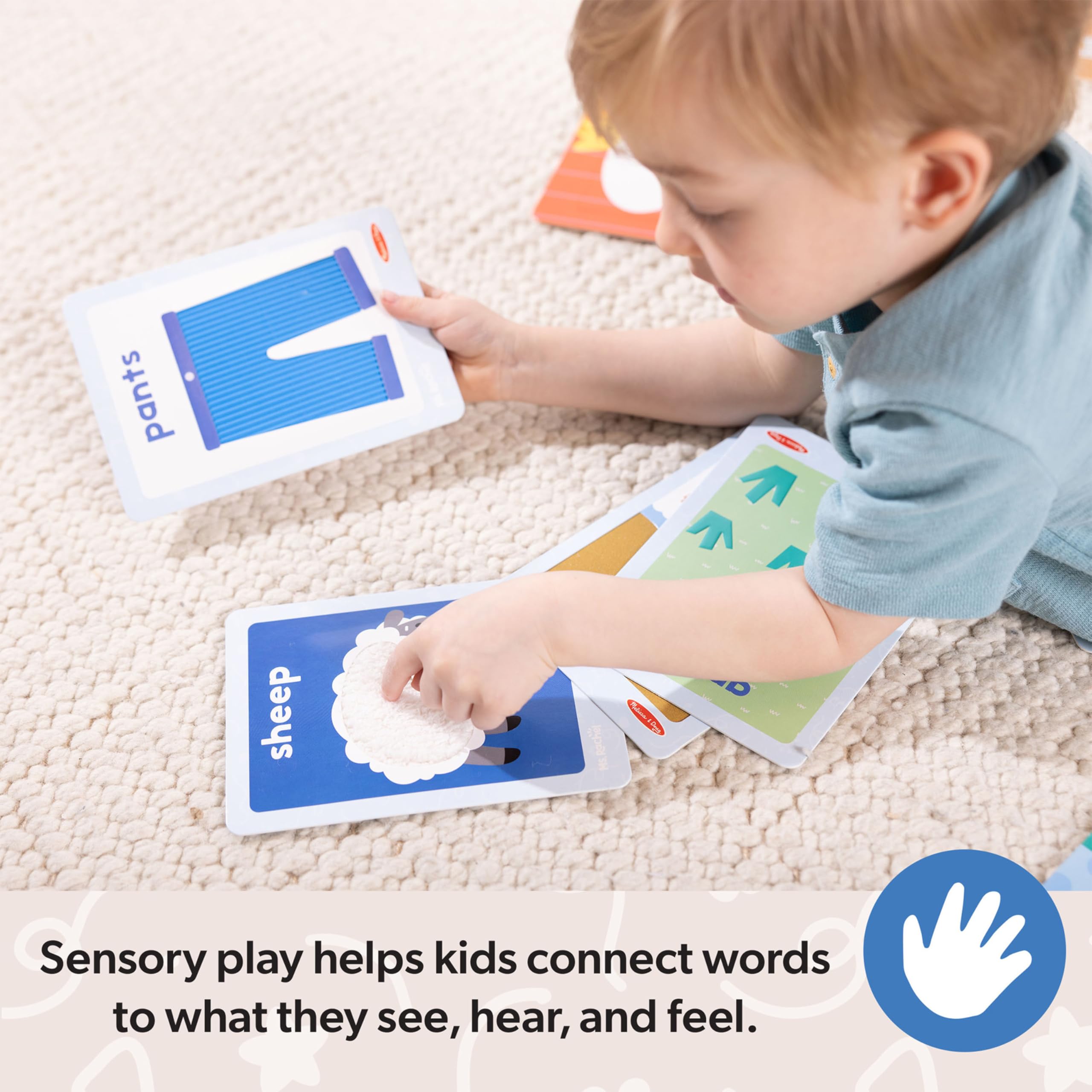 Vivid textures on the Ms. Rachel card set encourage multi-sensory exploration.