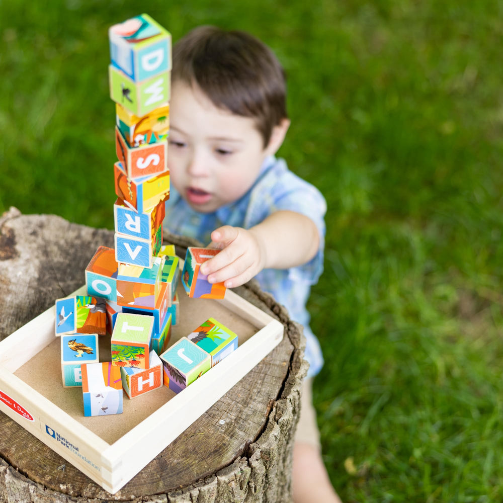 Melissa & Doug Yellowstone wildlife blocks sparking nature exploration during play