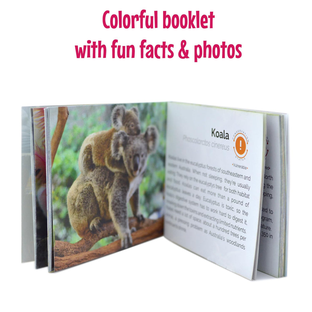 Menique educational booklet on animals with facts and tips.