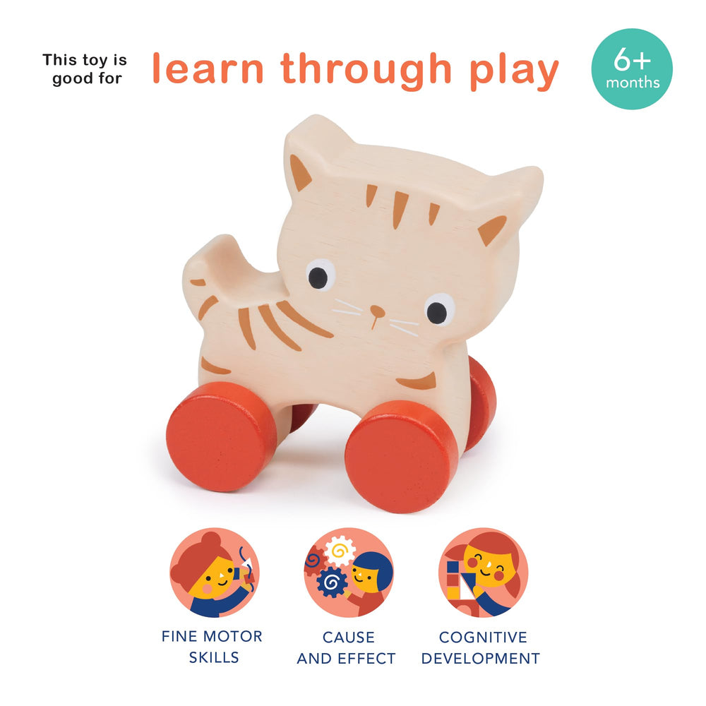 Mentari Kitten on Wheels in-use image highlights easy push and roll.