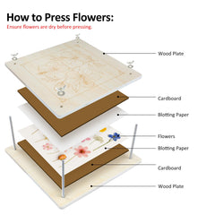 MeRGBWLife Flower Press's 7-needle set and tweezers help neat placement.